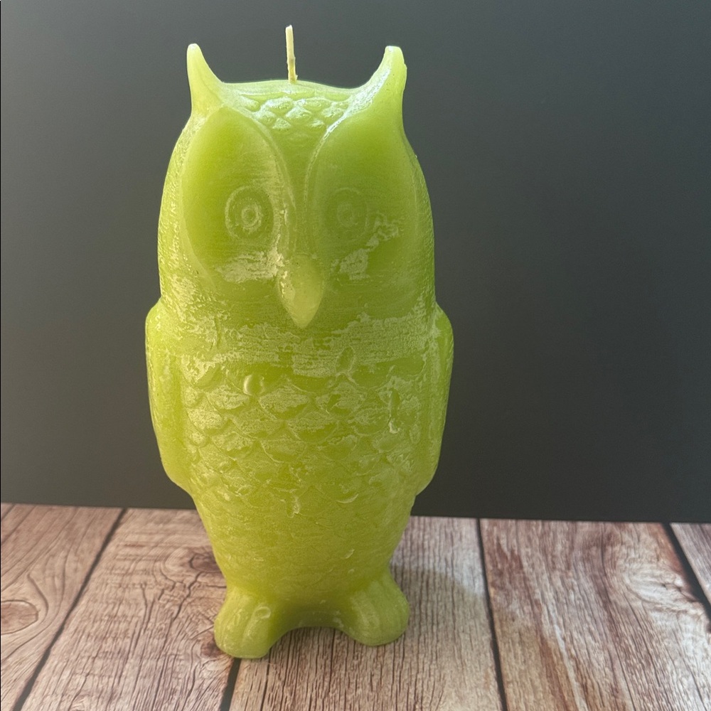 Zodax Lime Green Owl Candle